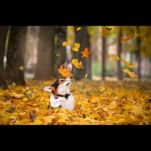 Meet your Posher, Jaileen mae